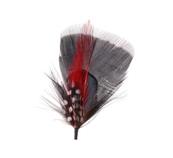 Chapeaux de déguisement pour adultes NET TOYS Chapeau à Plumes Blanc Rio  Coiffe à Plumes Chapeau avec Plumes Plume Couvr 24830 - Cdiscount  Beaux-Arts et Loisirs créatifs