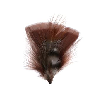 Plumes pour chapeau Plumes pour Chapeau